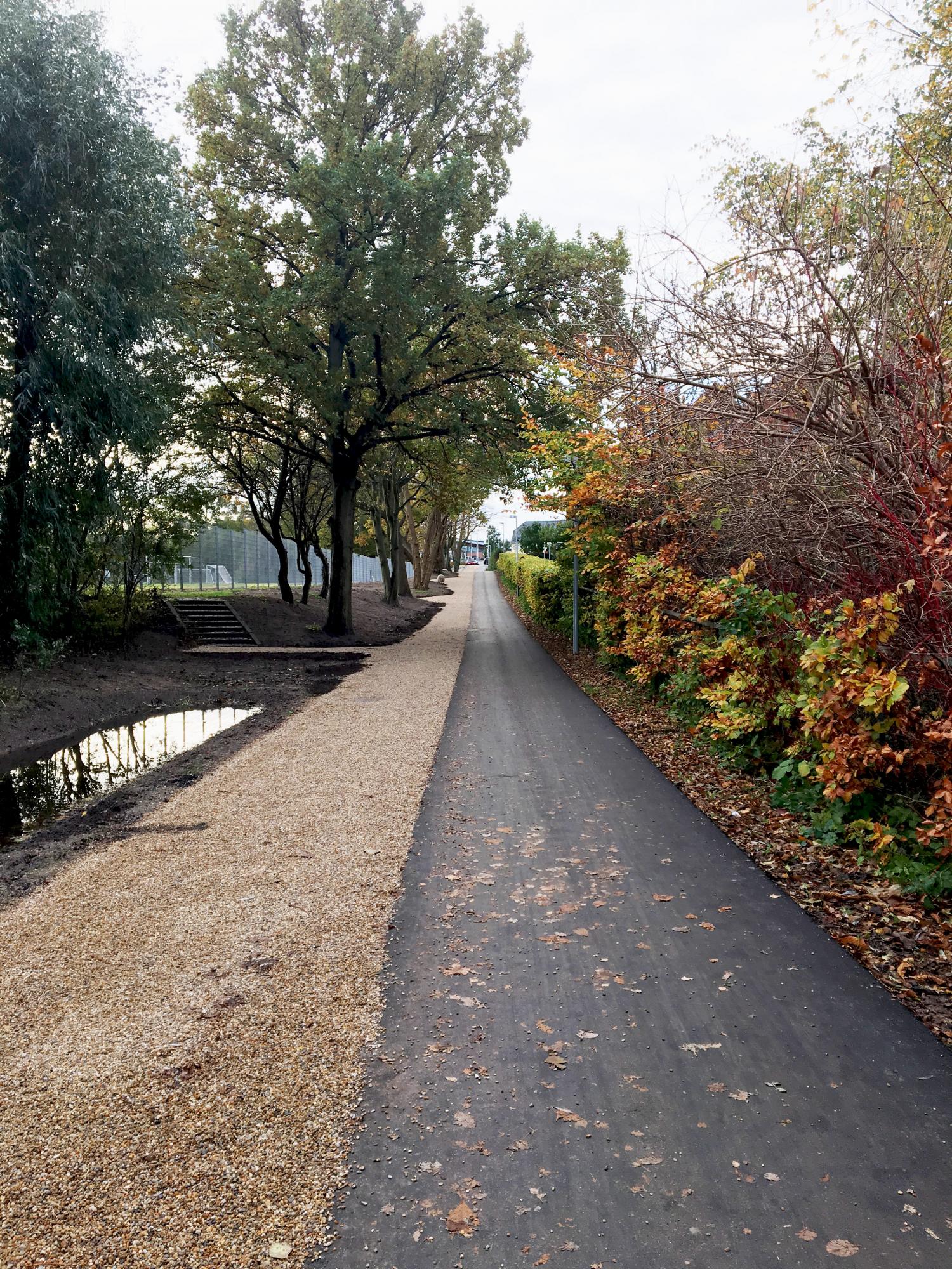 Skolestien efter syd