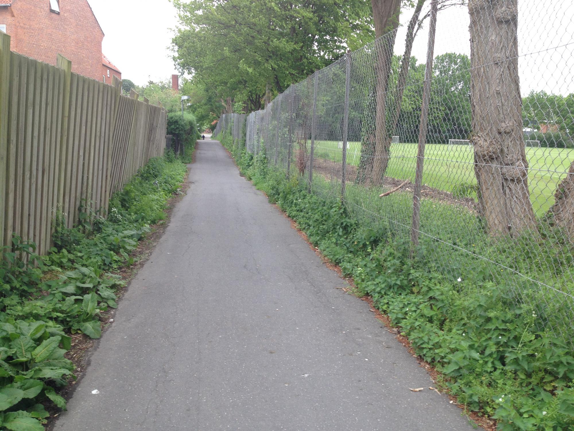 Skolestien efter nord