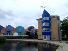 Tårnhus med vejrfugle