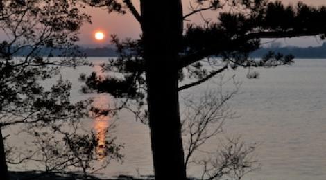 Diverse: Natur