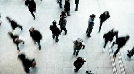 Udstilling: Omvisning