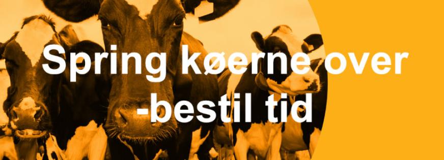 Bestil tid