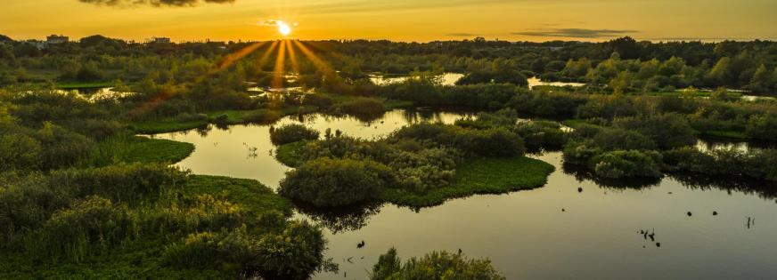 Råmosen ballerup kommune natur vand vådområder beskyttet natur solopgang 