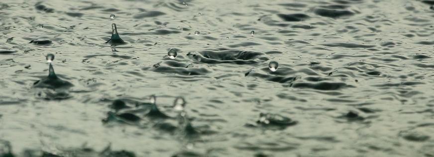 Regn klimatilpasning vand regnvandshåndtering 