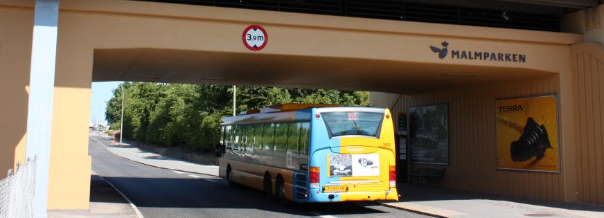 bus