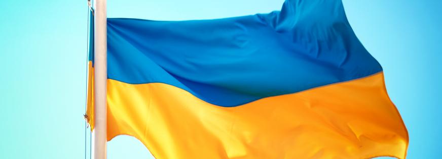 Ukraines flag